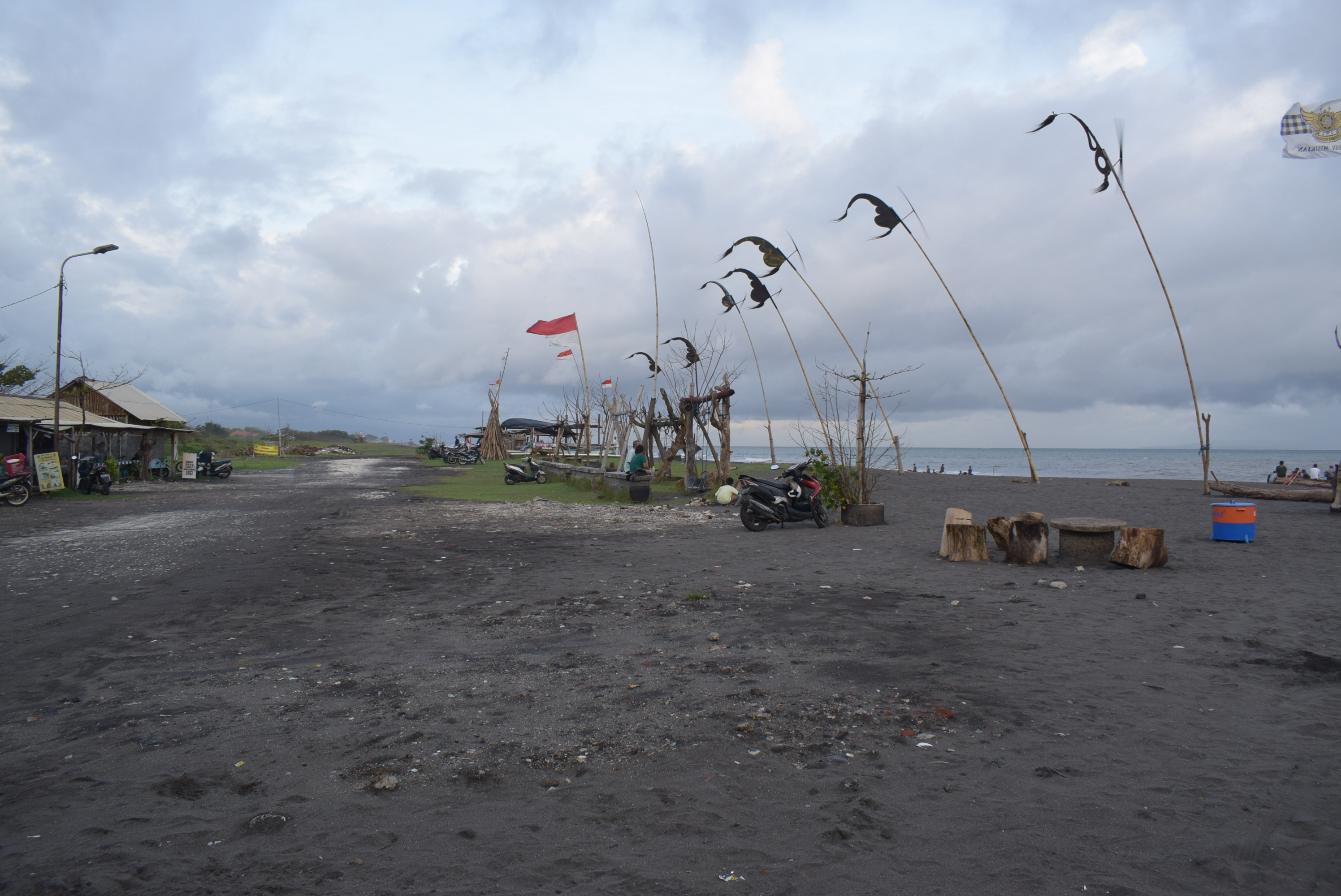 DSC_0100.JPG