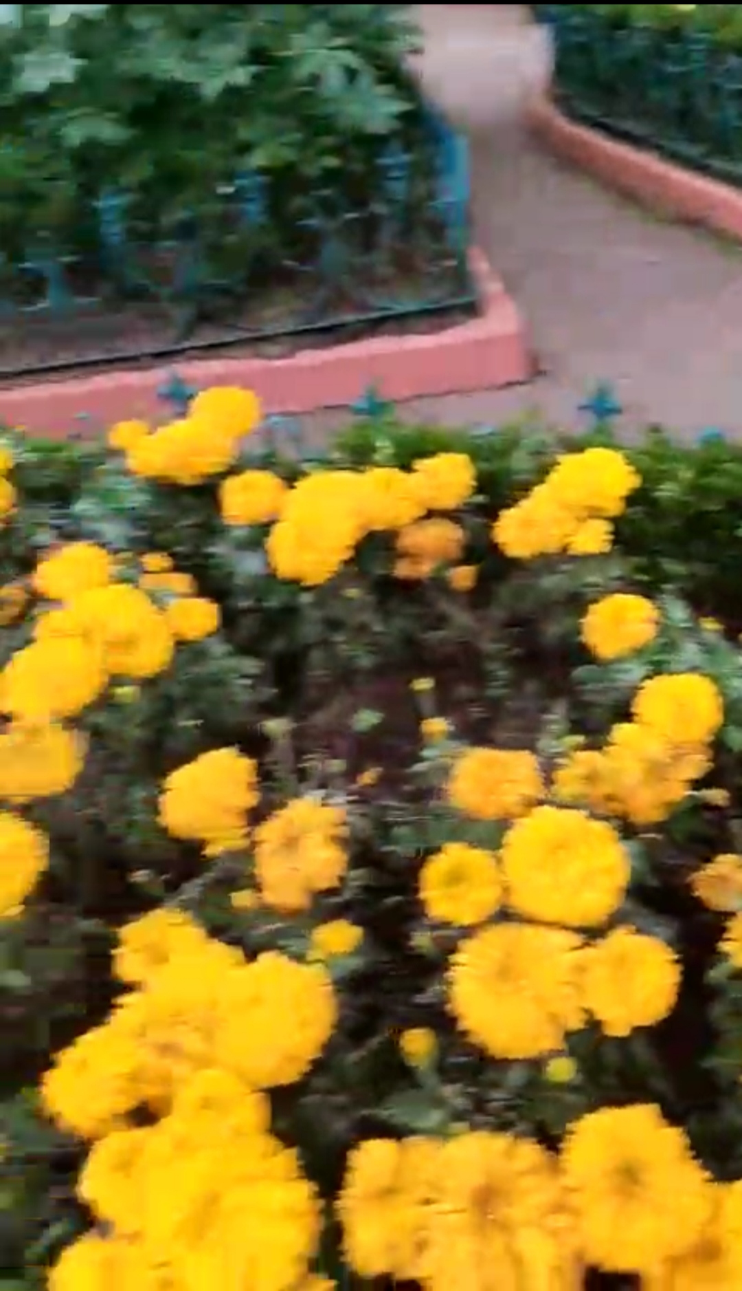IMG_20231226_205257.jpg
