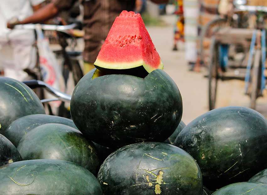 nutritional-value-and-medicinal-value-of-this-watermelon-fruit-blurt