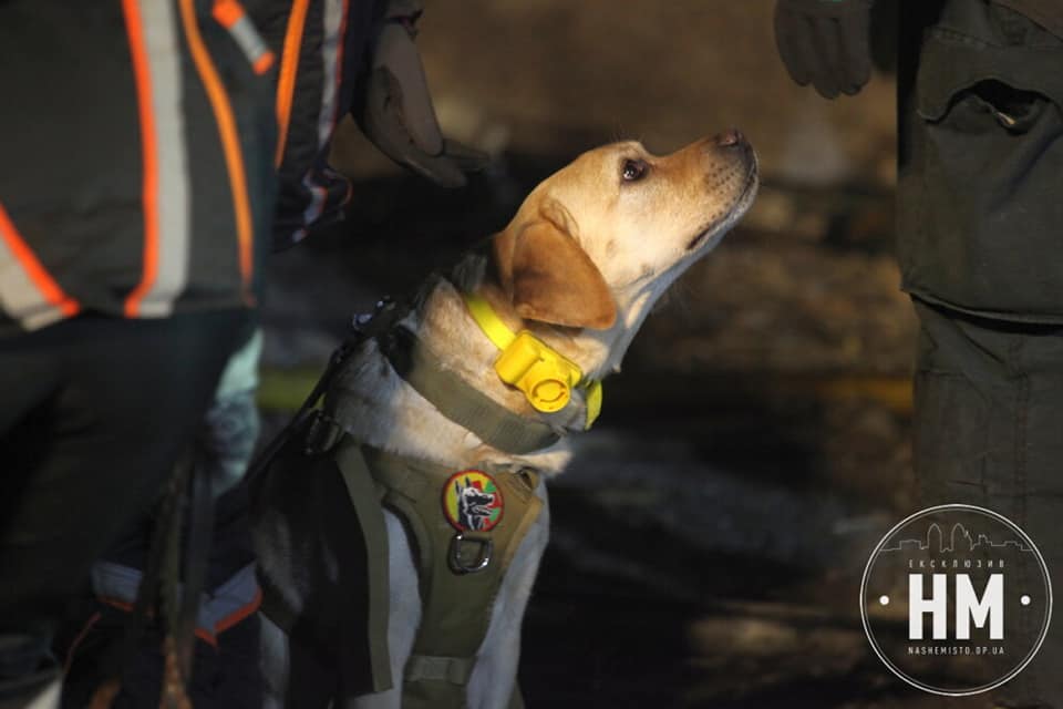 9557F369-D291-4F3A-9B5E-BDBB41778164.jpeg