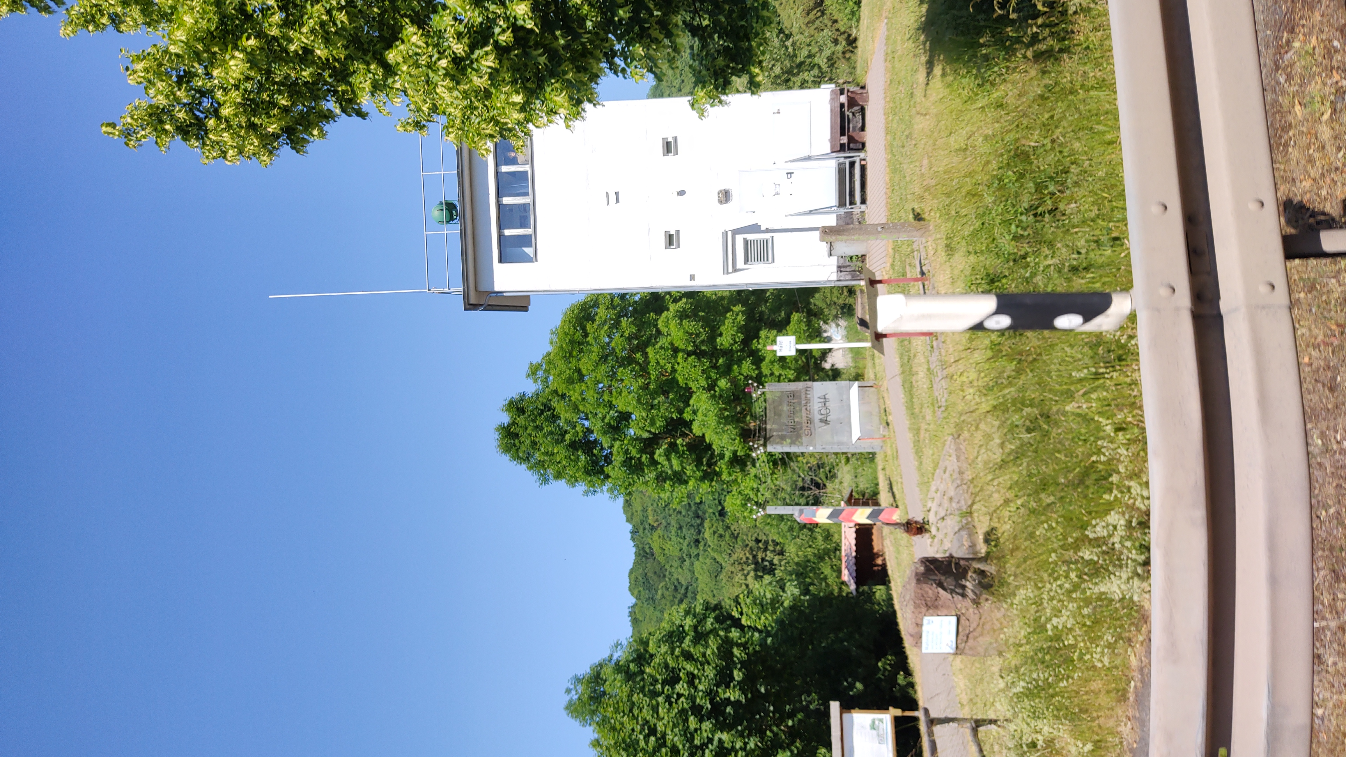 IMG_20230611_154914898_MP.jpg
