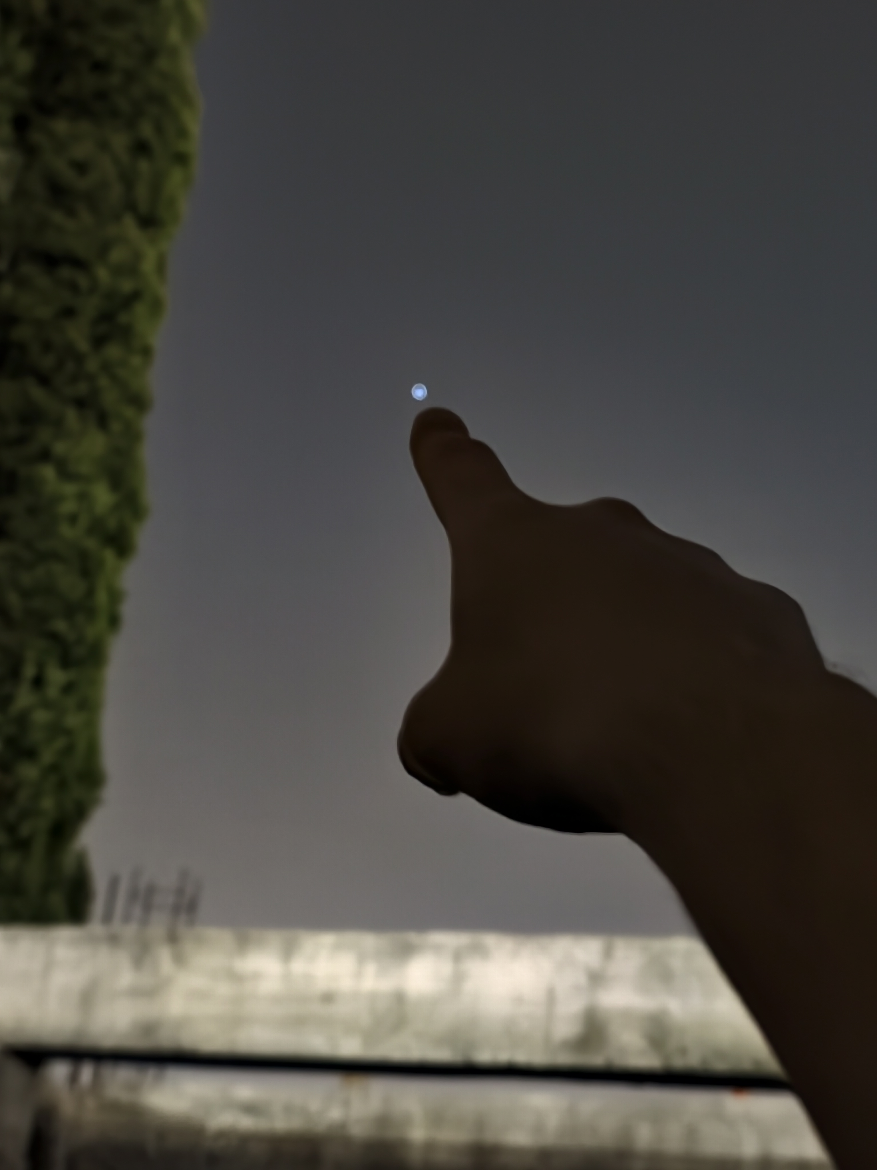 1000088546.jpg