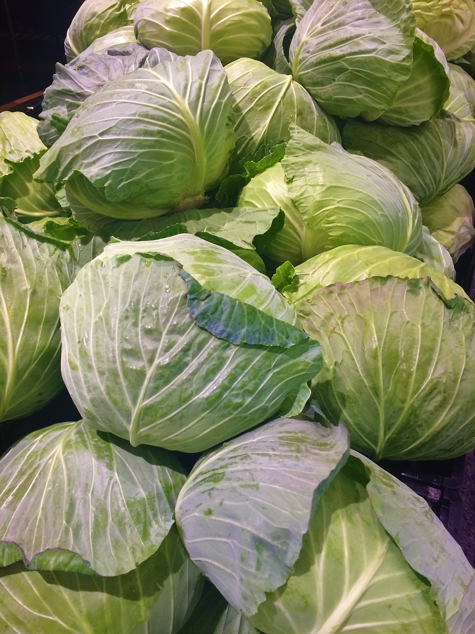 Cabbage-Green-White-Pile-Up-Leafy-Vegetables-1887051.jpg