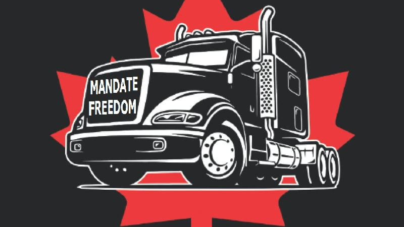 d13a342c6567e16a2647b7e5b840f03c8fee52f1.png