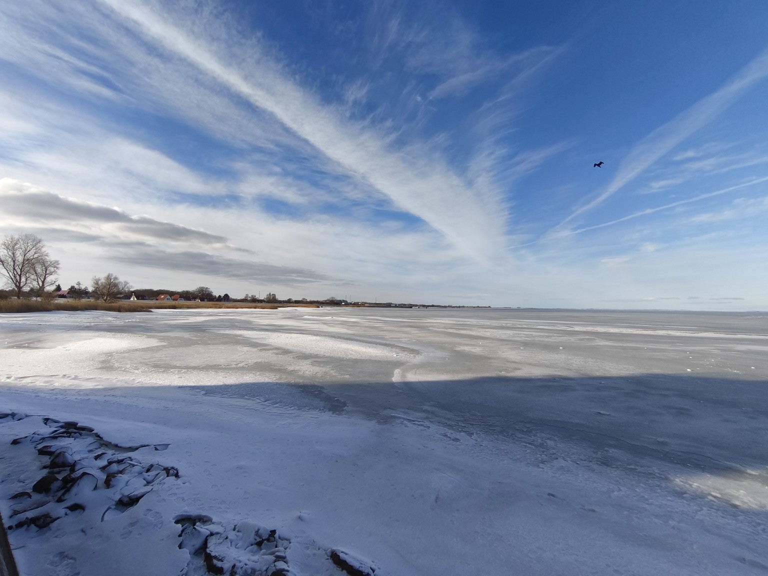 Greifswald in Ice, People in Risk  (DE/EN)