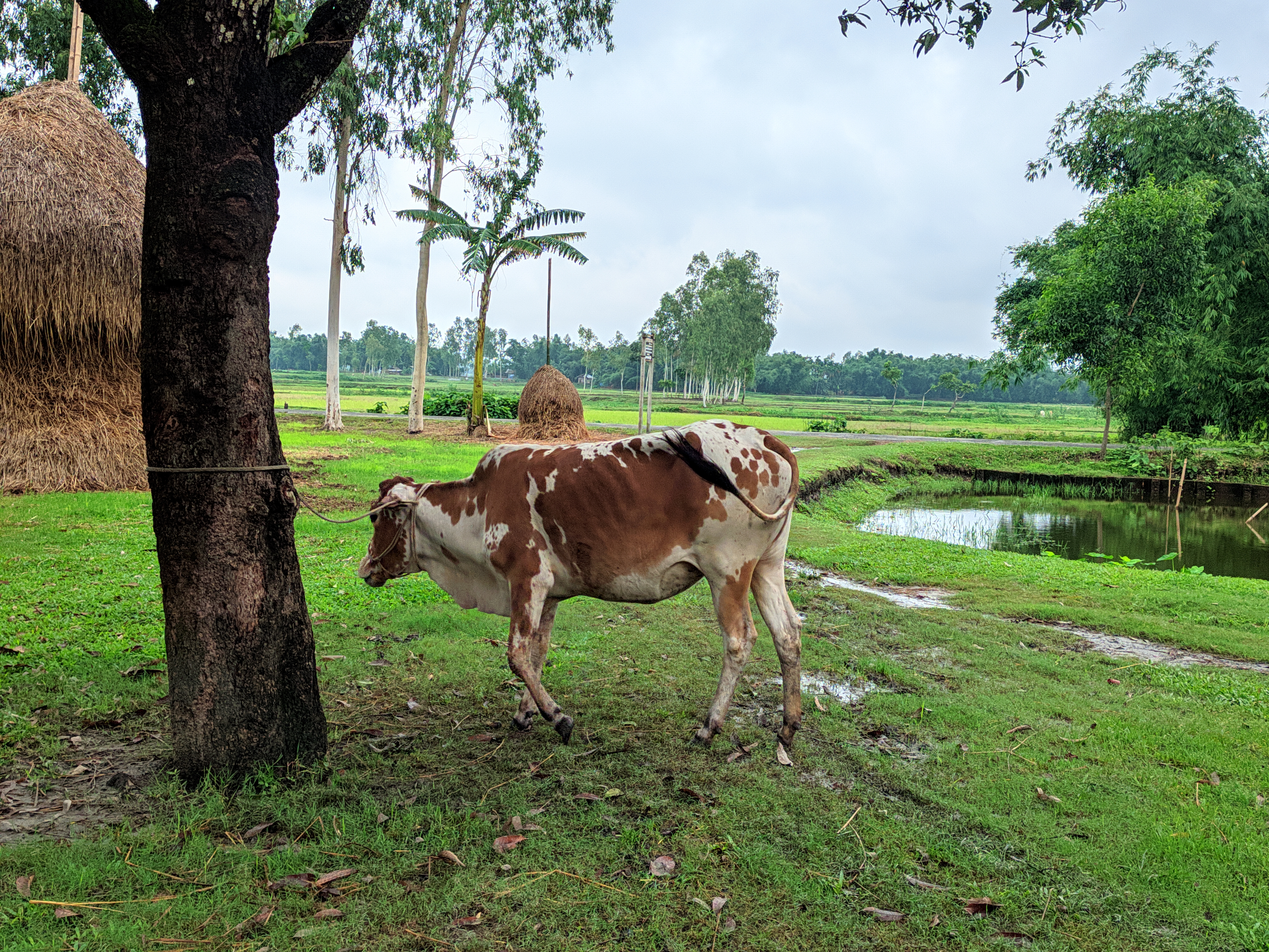 29062023\_103428.Mobile Dslr.jpg