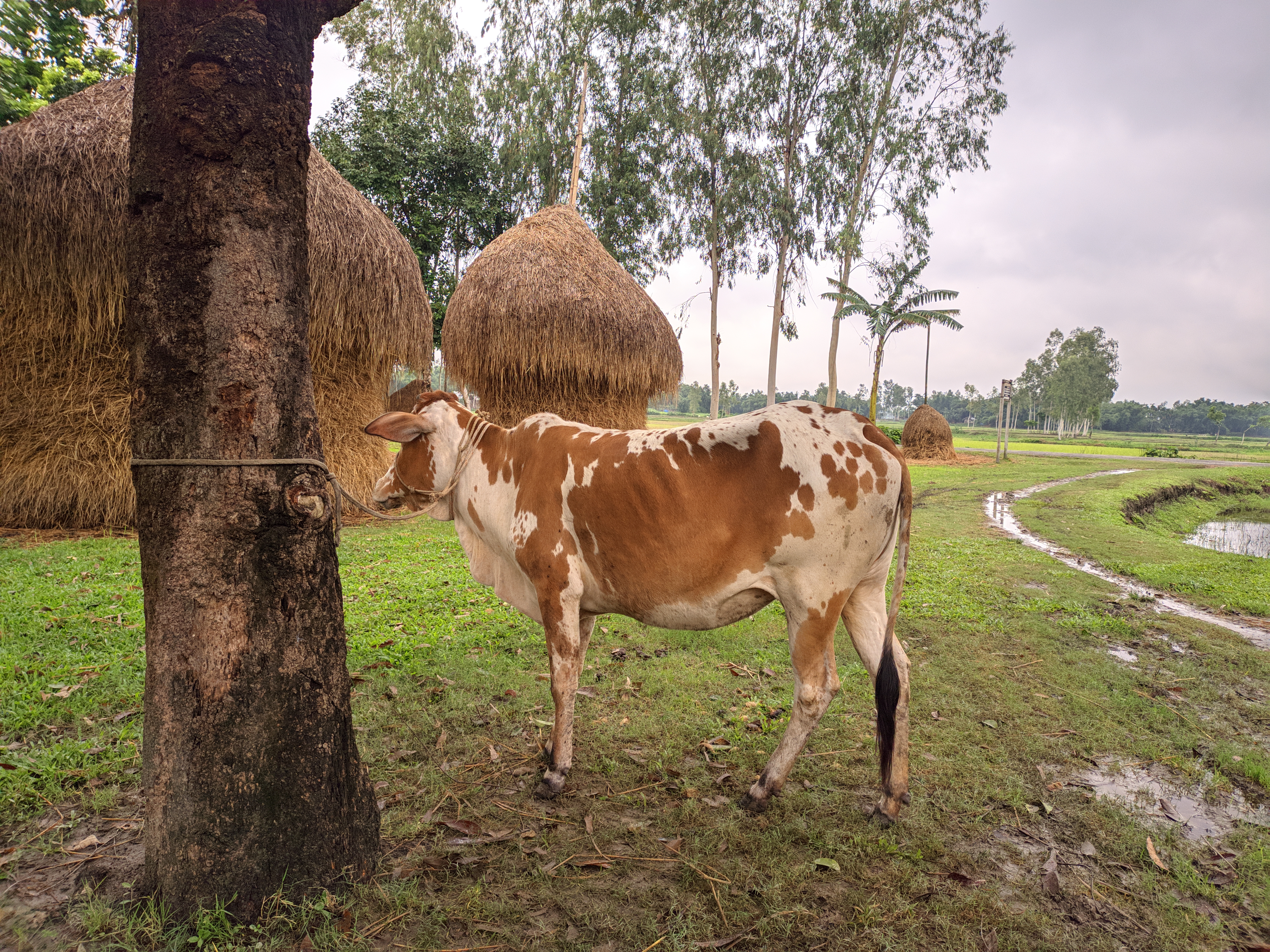 29062023\_103210.Mobile Dslr.jpg