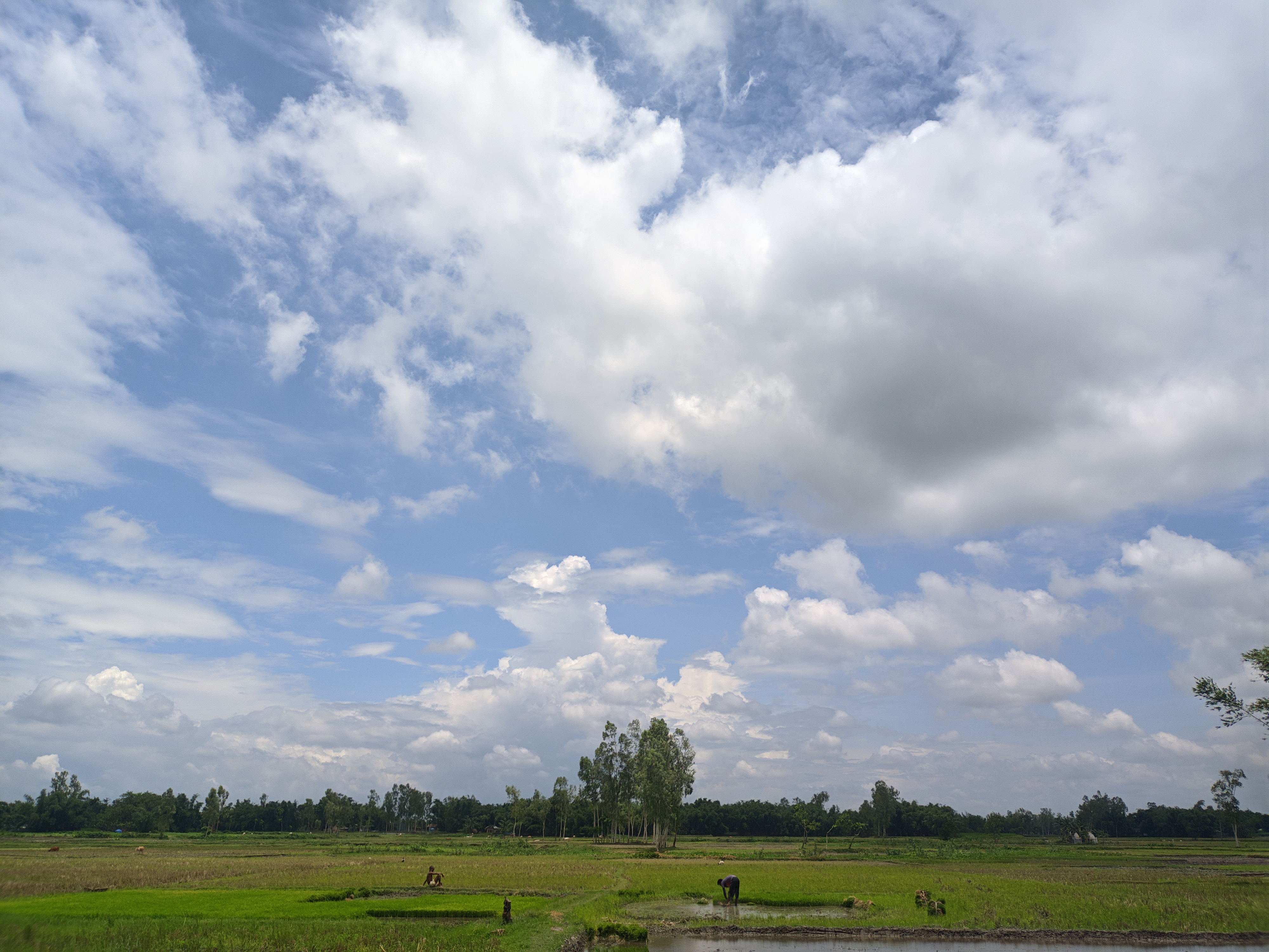 27062023\_121750.Mobile Dslr.jpg