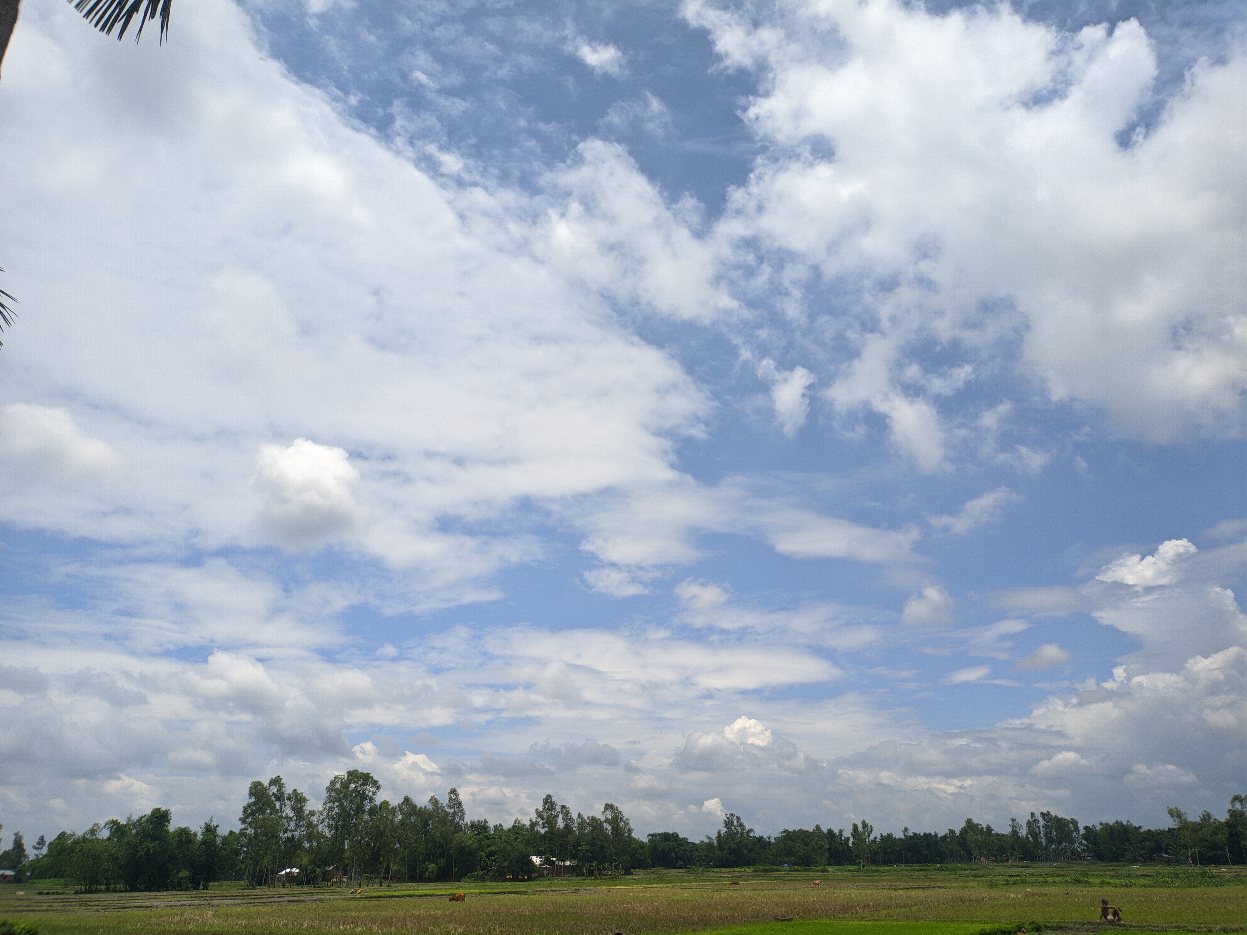 27062023\_121755.Mobile Dslr.jpg