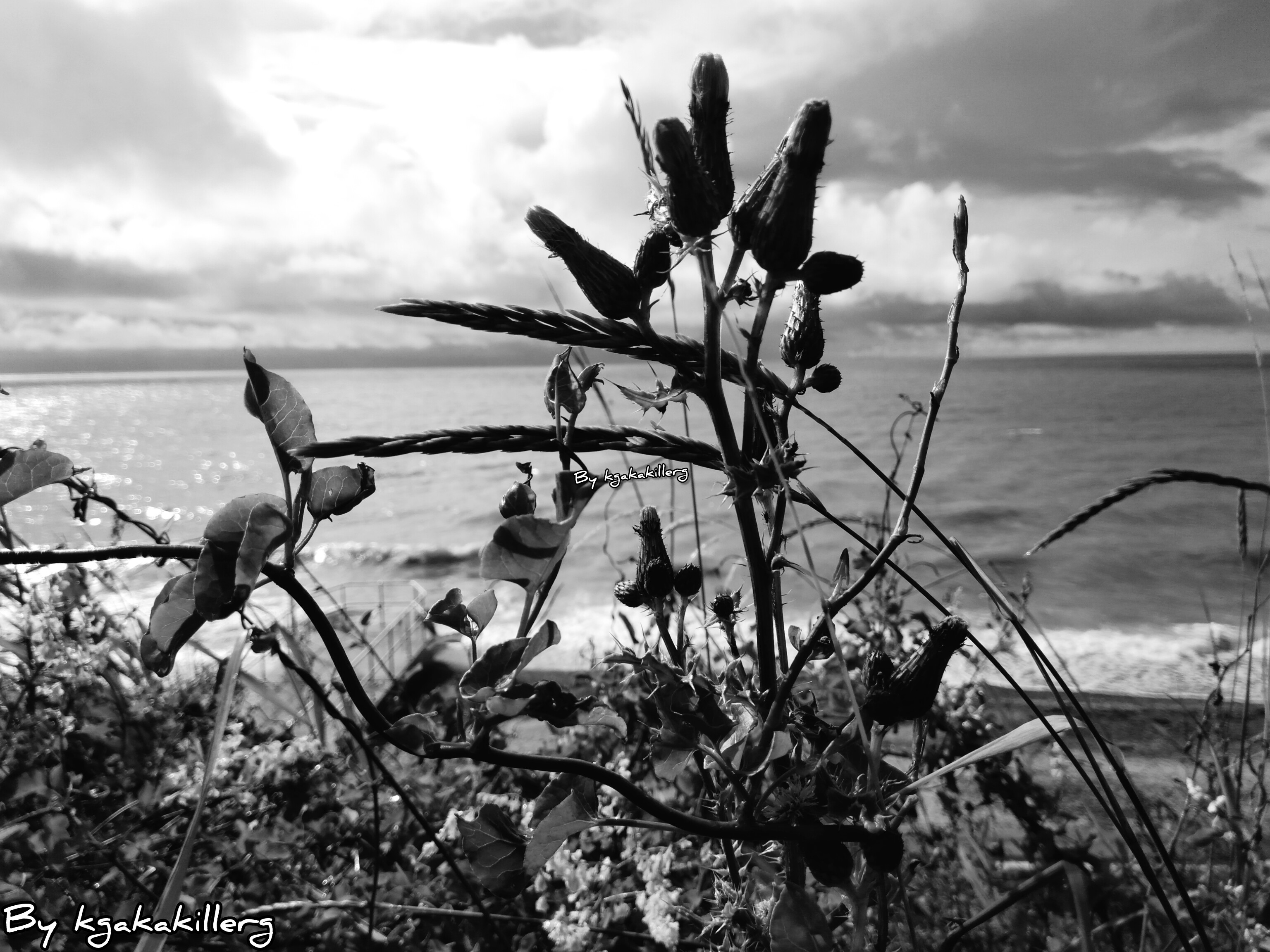 kgakakillerg original content