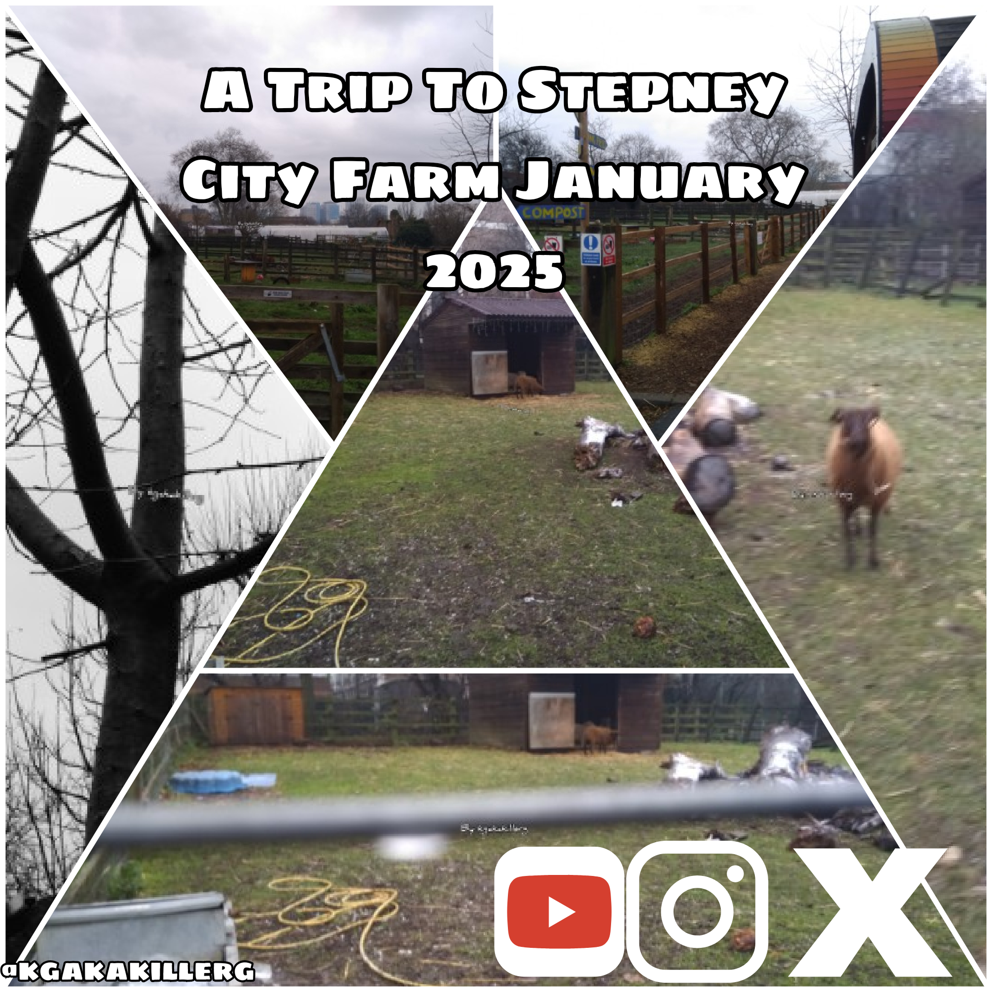kgakakillerg original content A Trip To Stepney City Farm| Walk Around Stepney City Farm January 2025 part 1 ๐ฏ Original Content