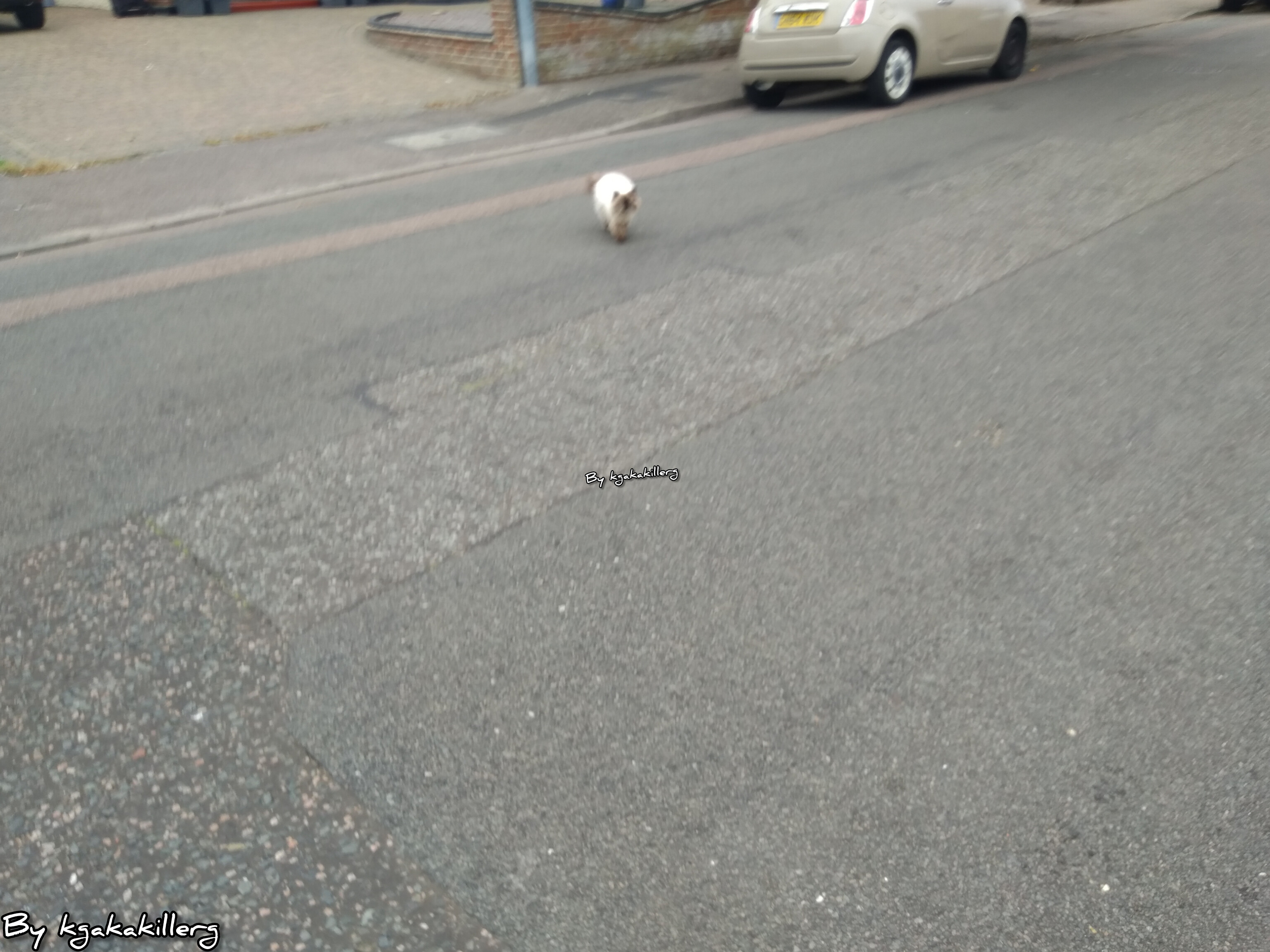 kgakakillerg original content