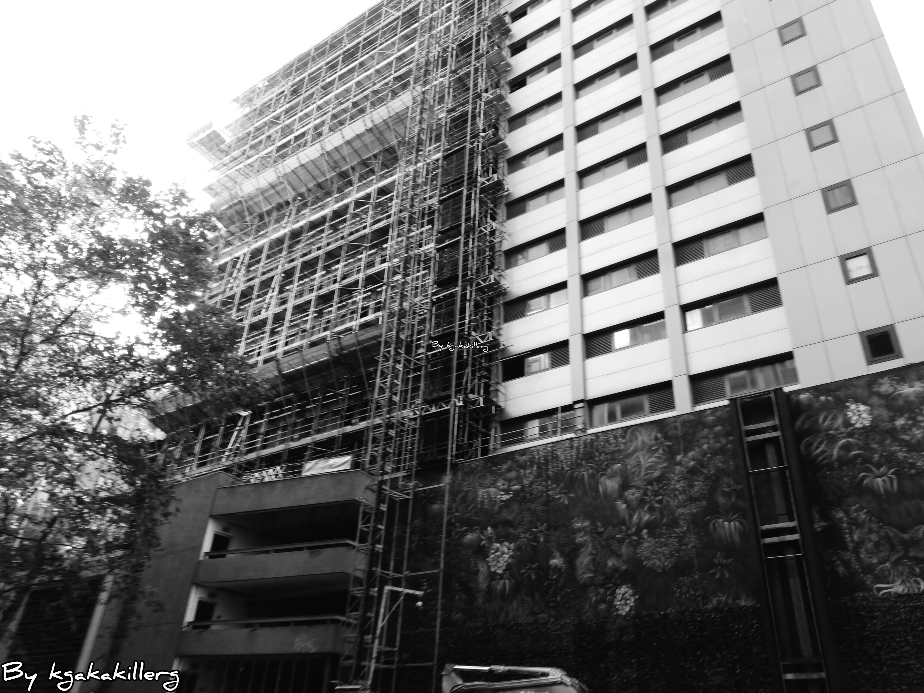 kgakakillerg original content