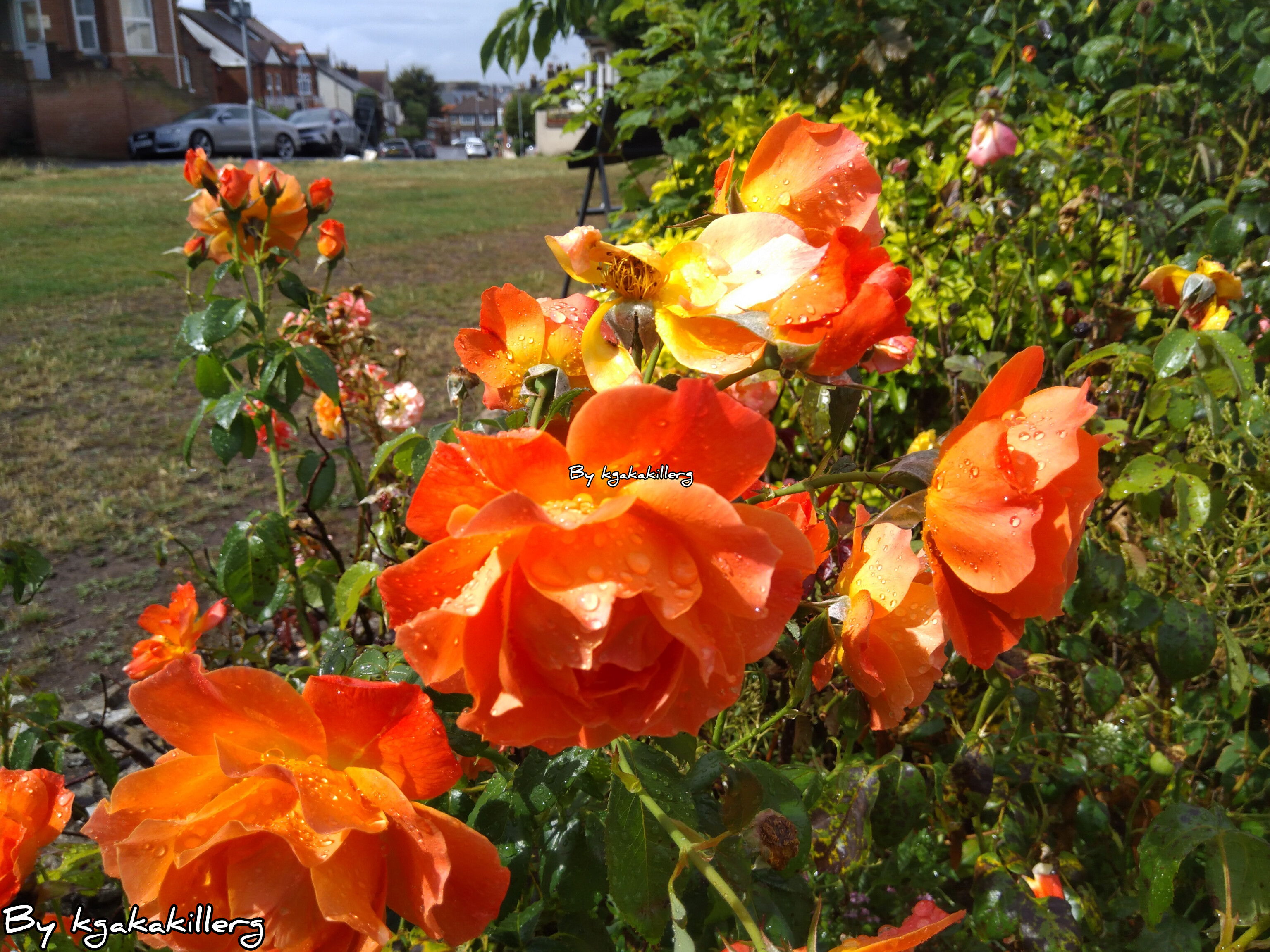 kgakakillerg original content