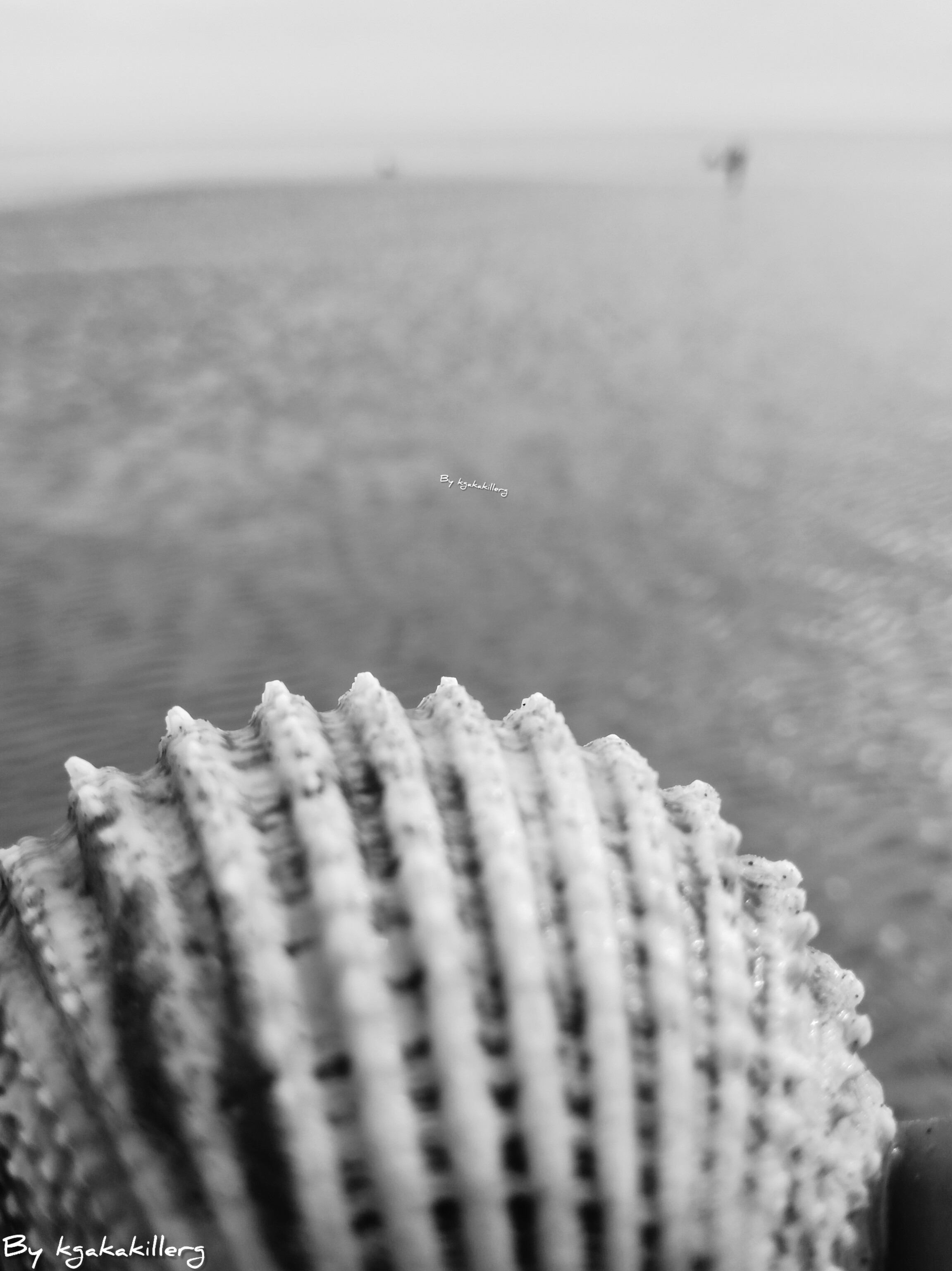 kgakakillerg original content