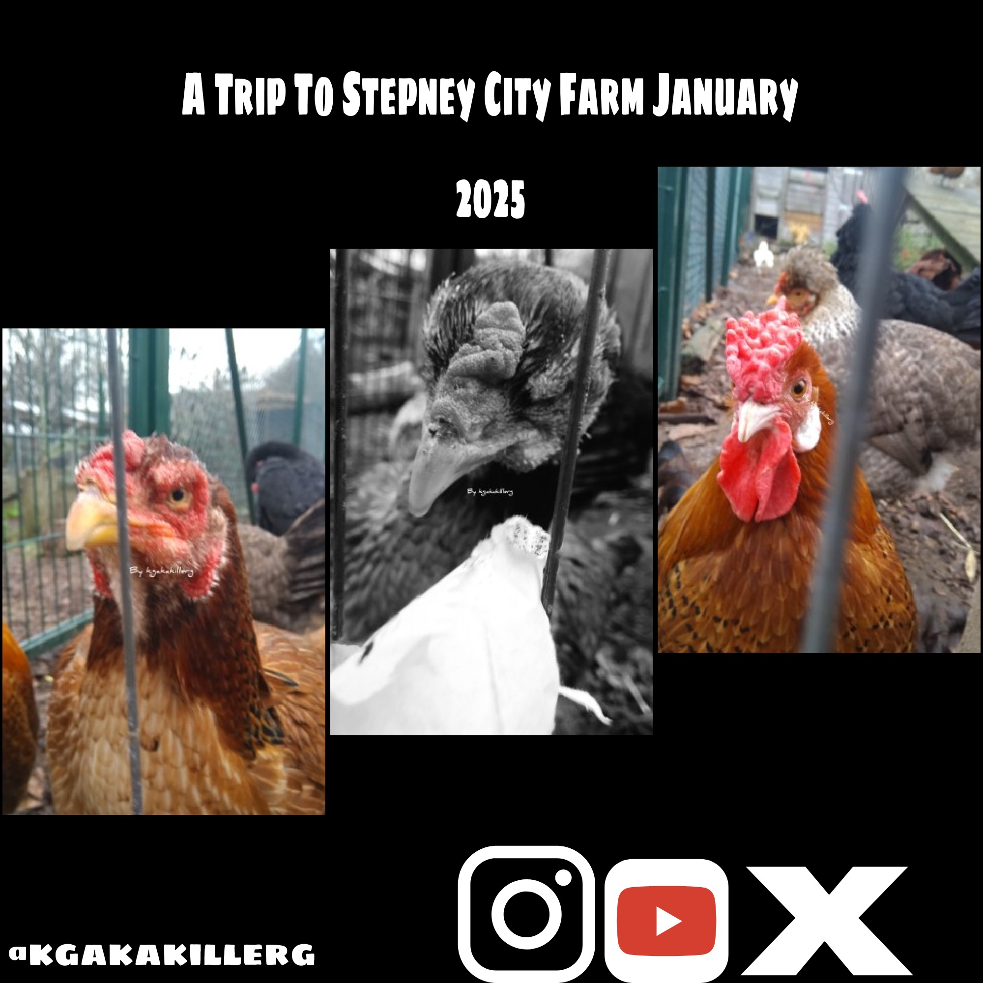 kgakakillerg original content