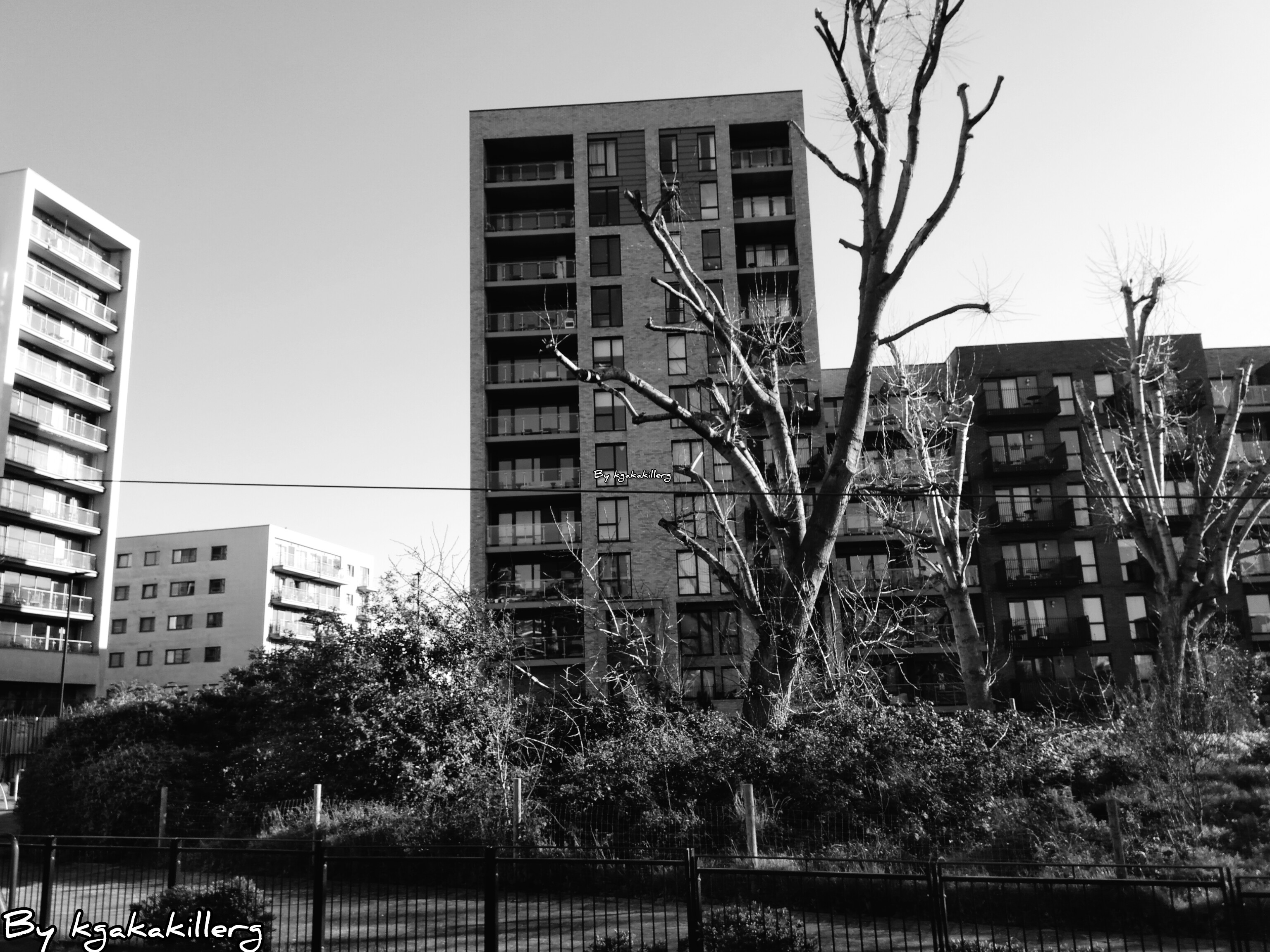 kgakakillerg original content