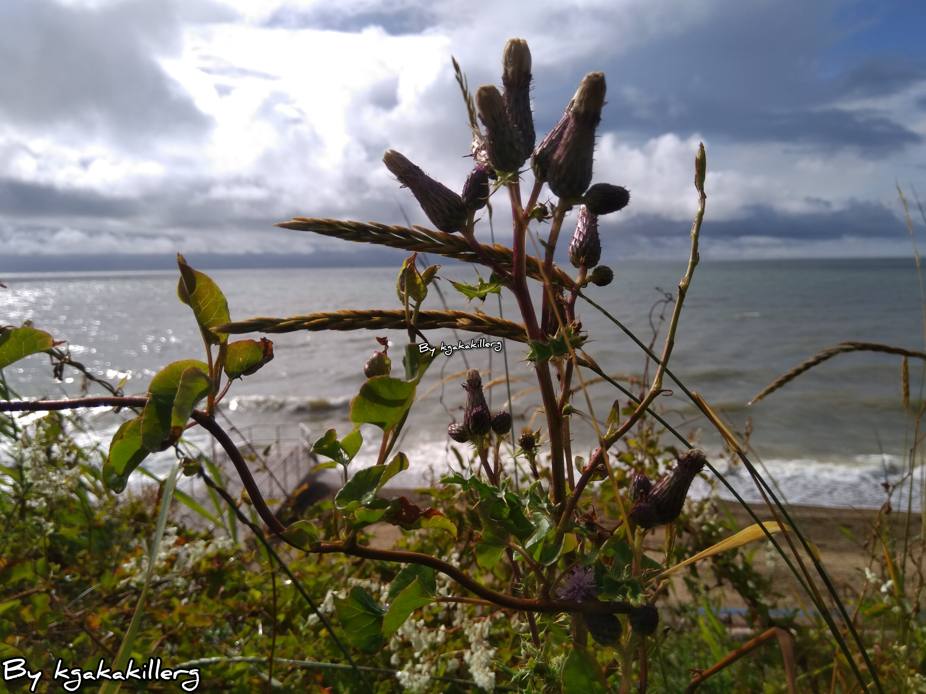 kgakakillerg original content