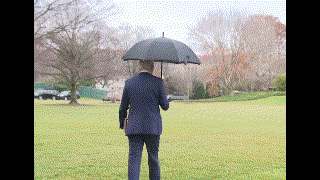 b1a.gif