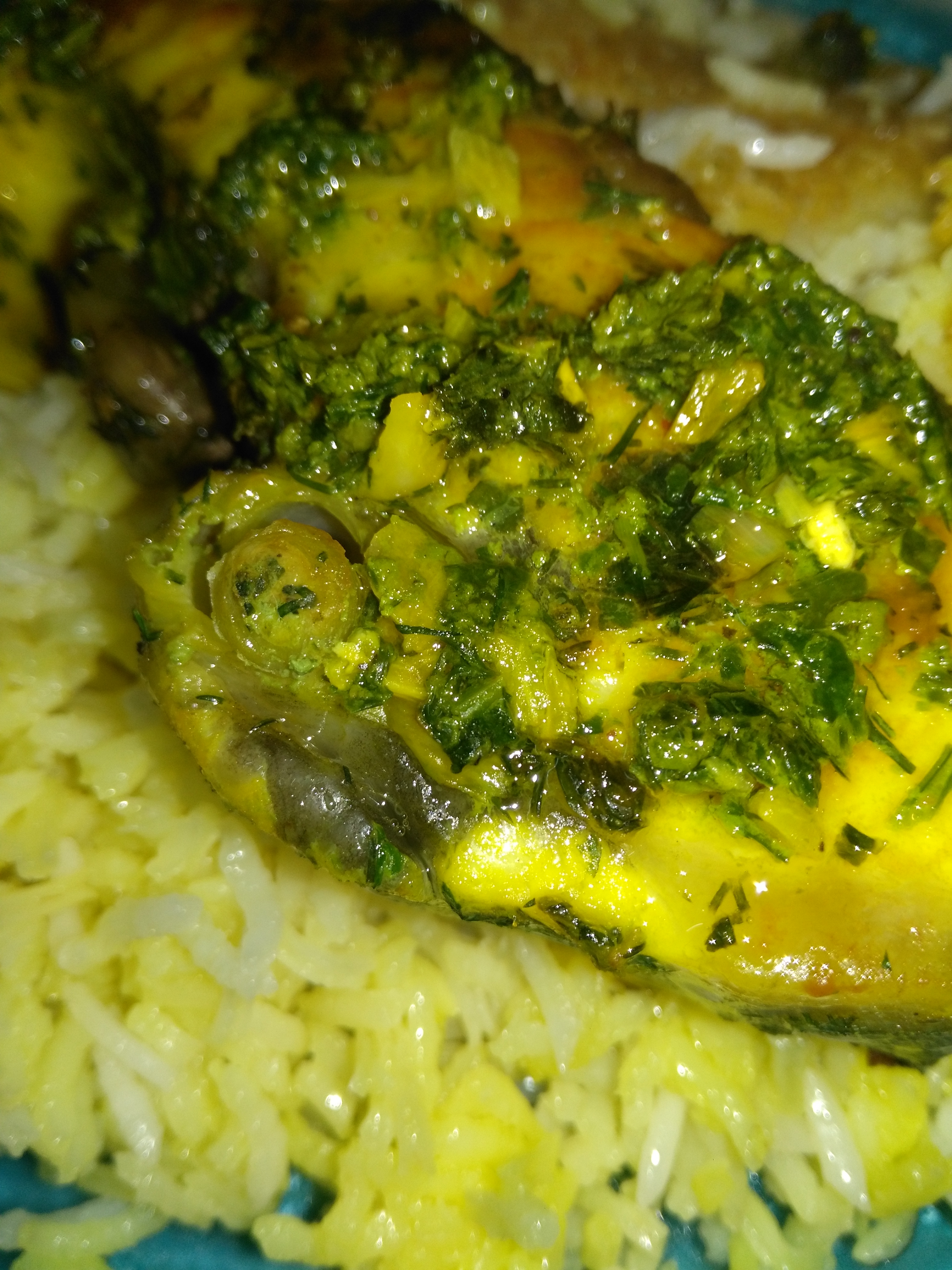 Fish 🐠🐡🐟🐳🐋🐬