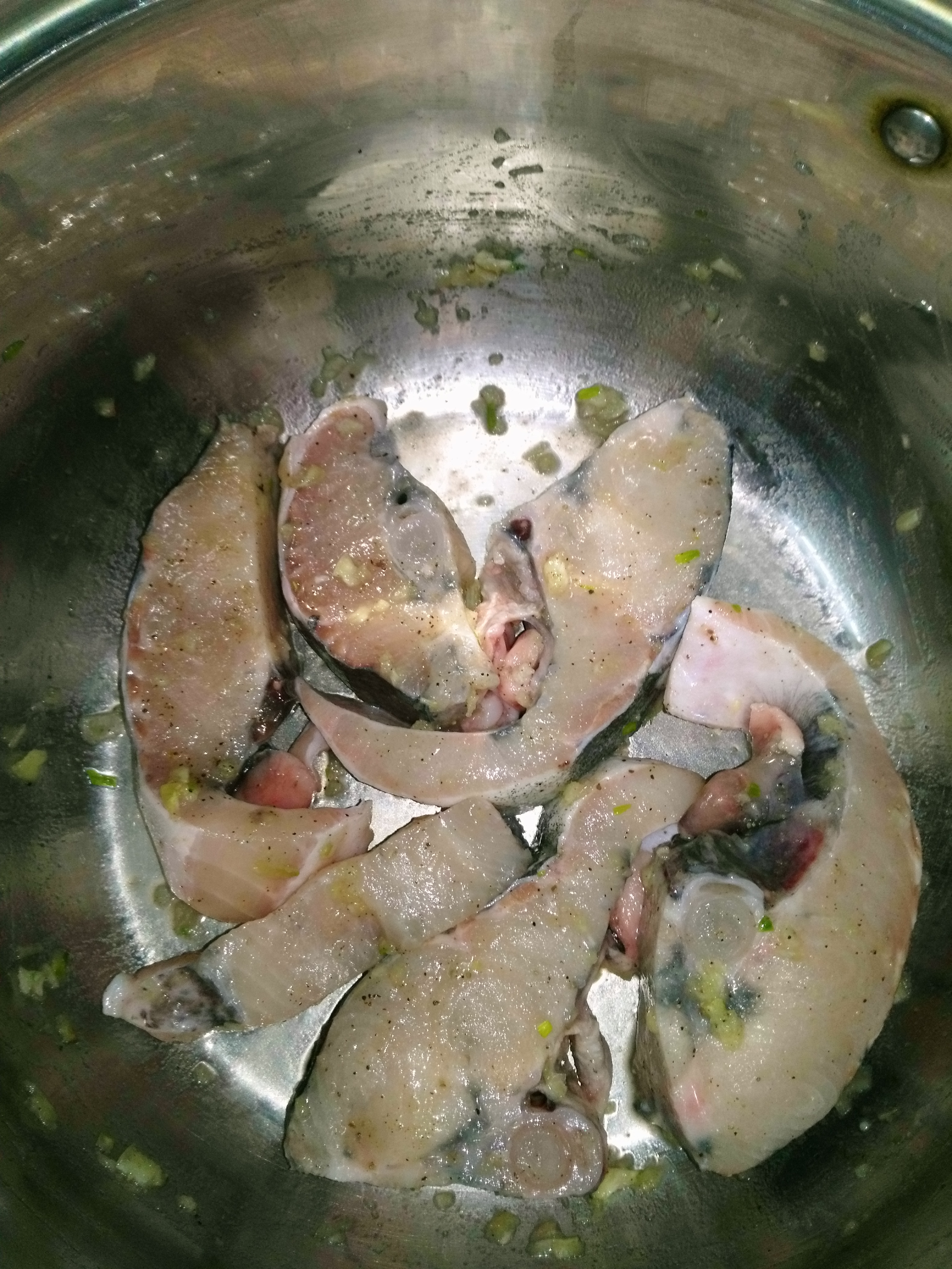 Fish 🐠🐡🐟🐳🐋🐬