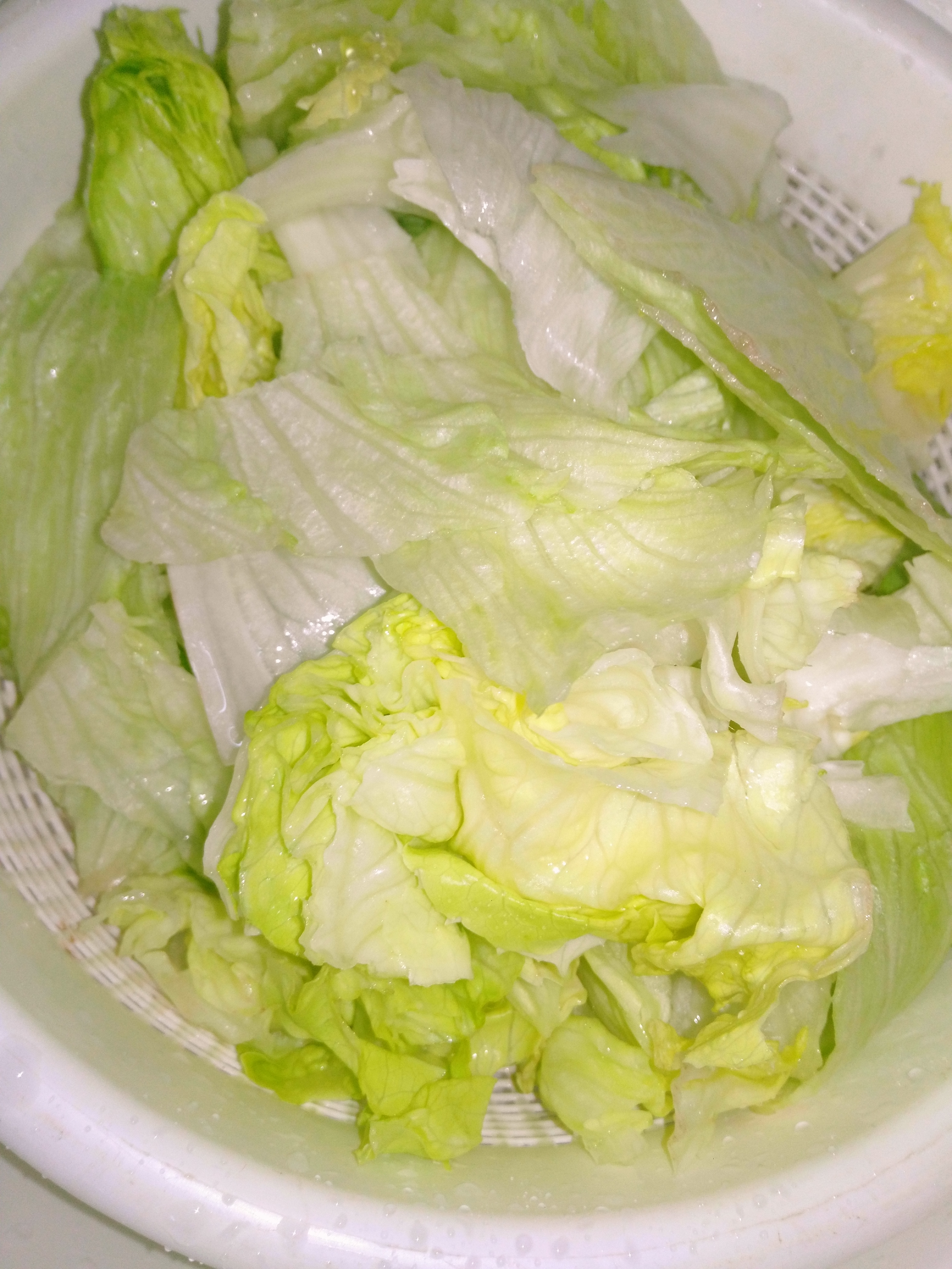 Fish 🐠🐡🐟🐳🐋🐬