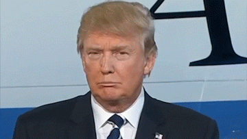 Trump gif 1.gif
