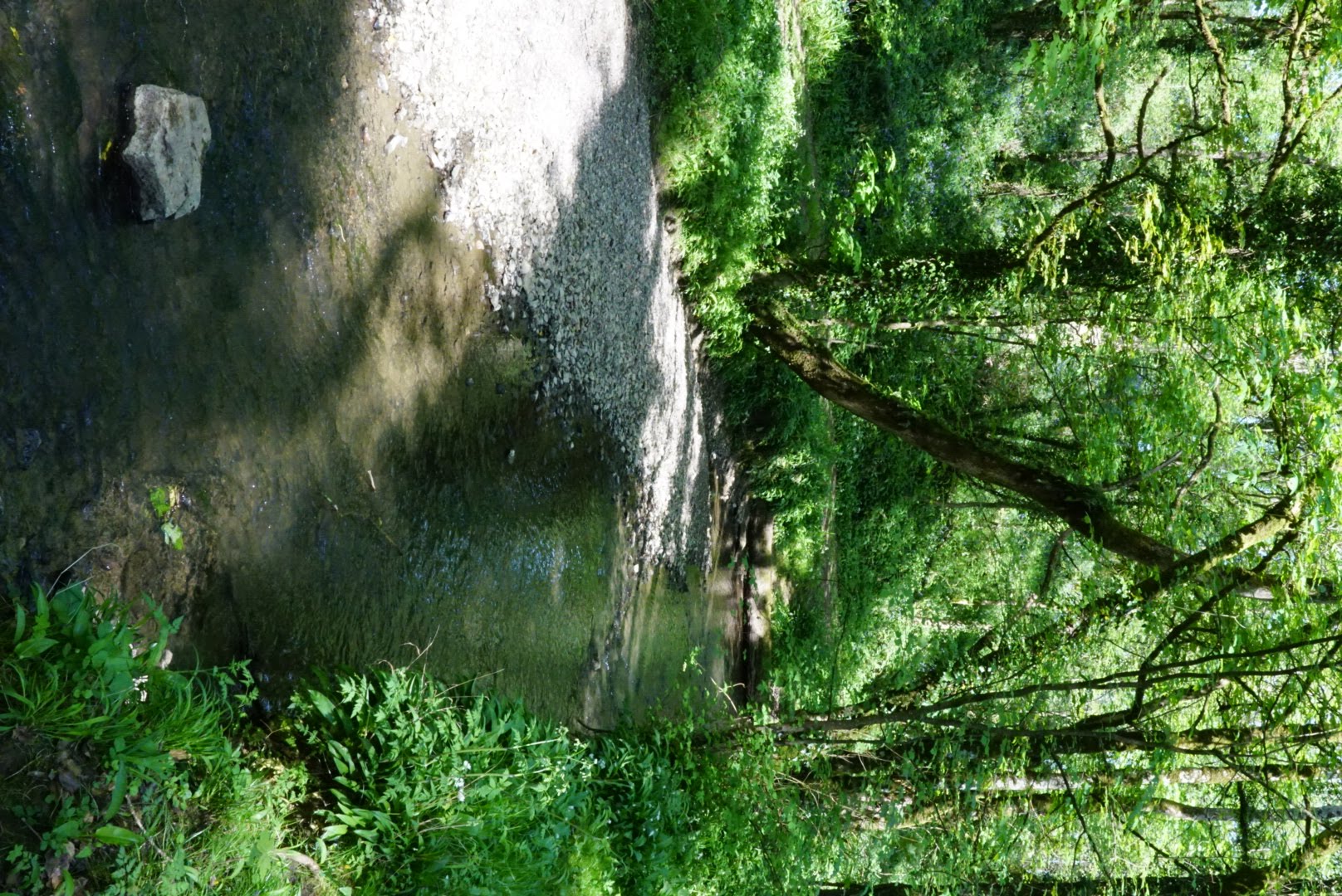 DSC07797.jpg