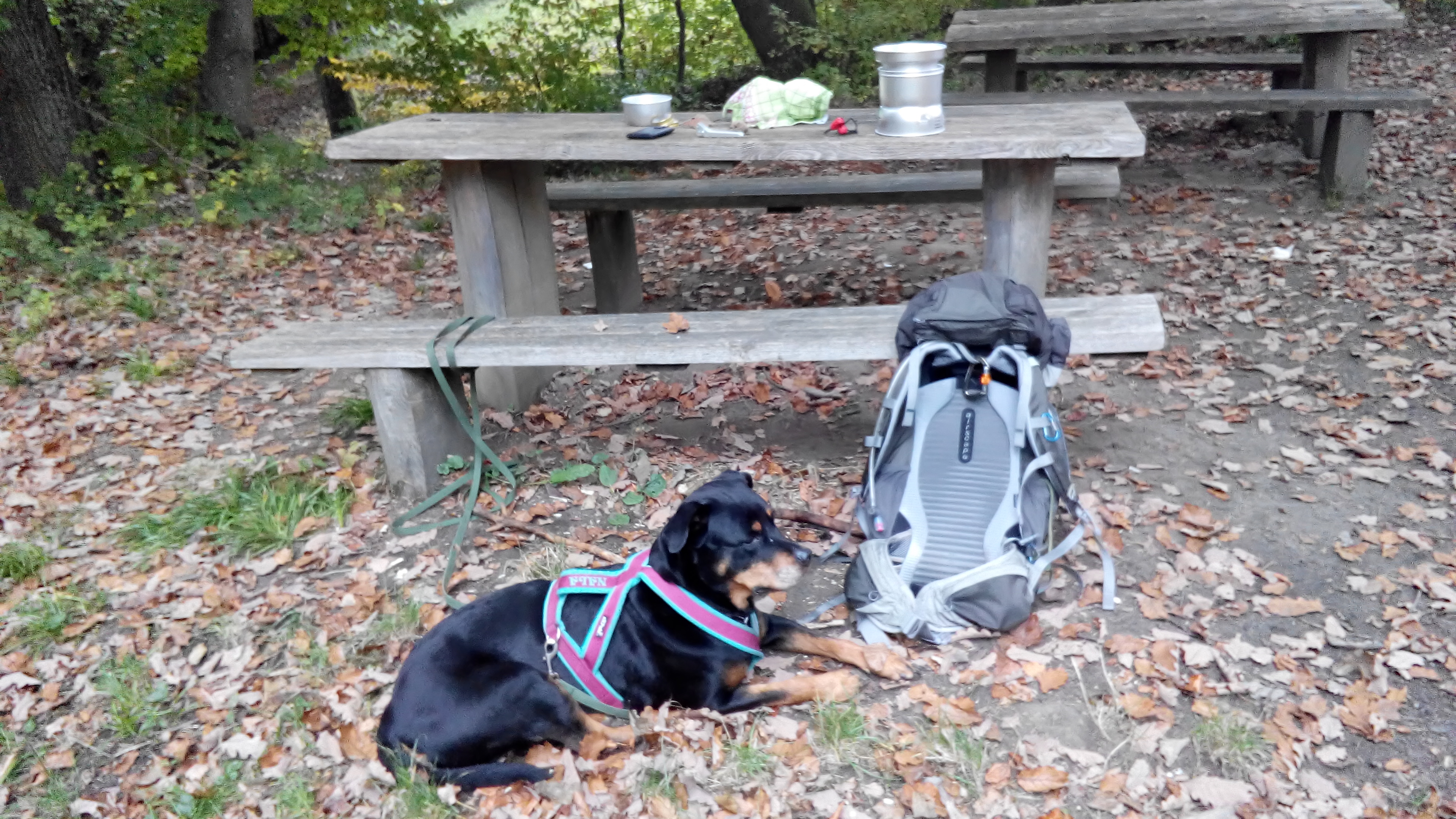 Hiking with Dog image