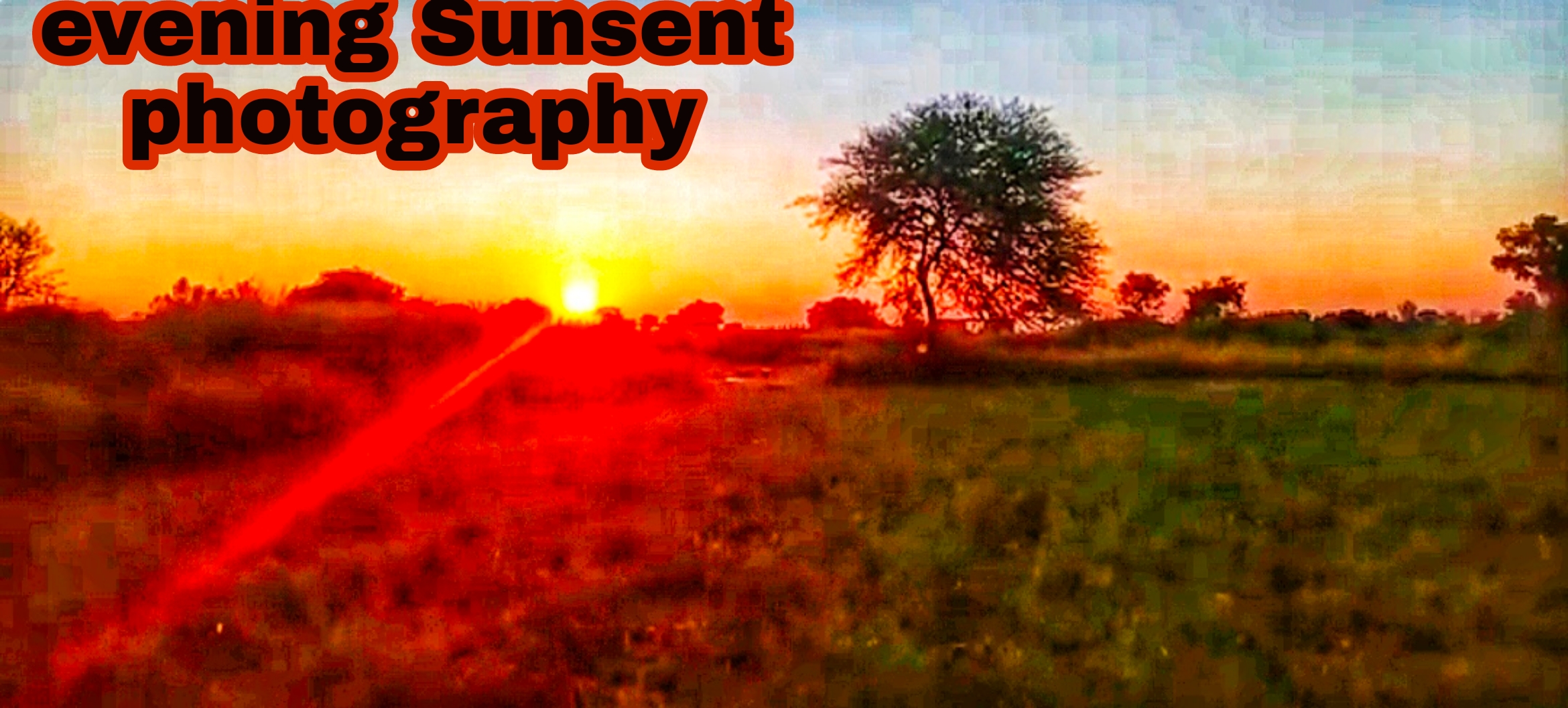 sunset-photography-blurt