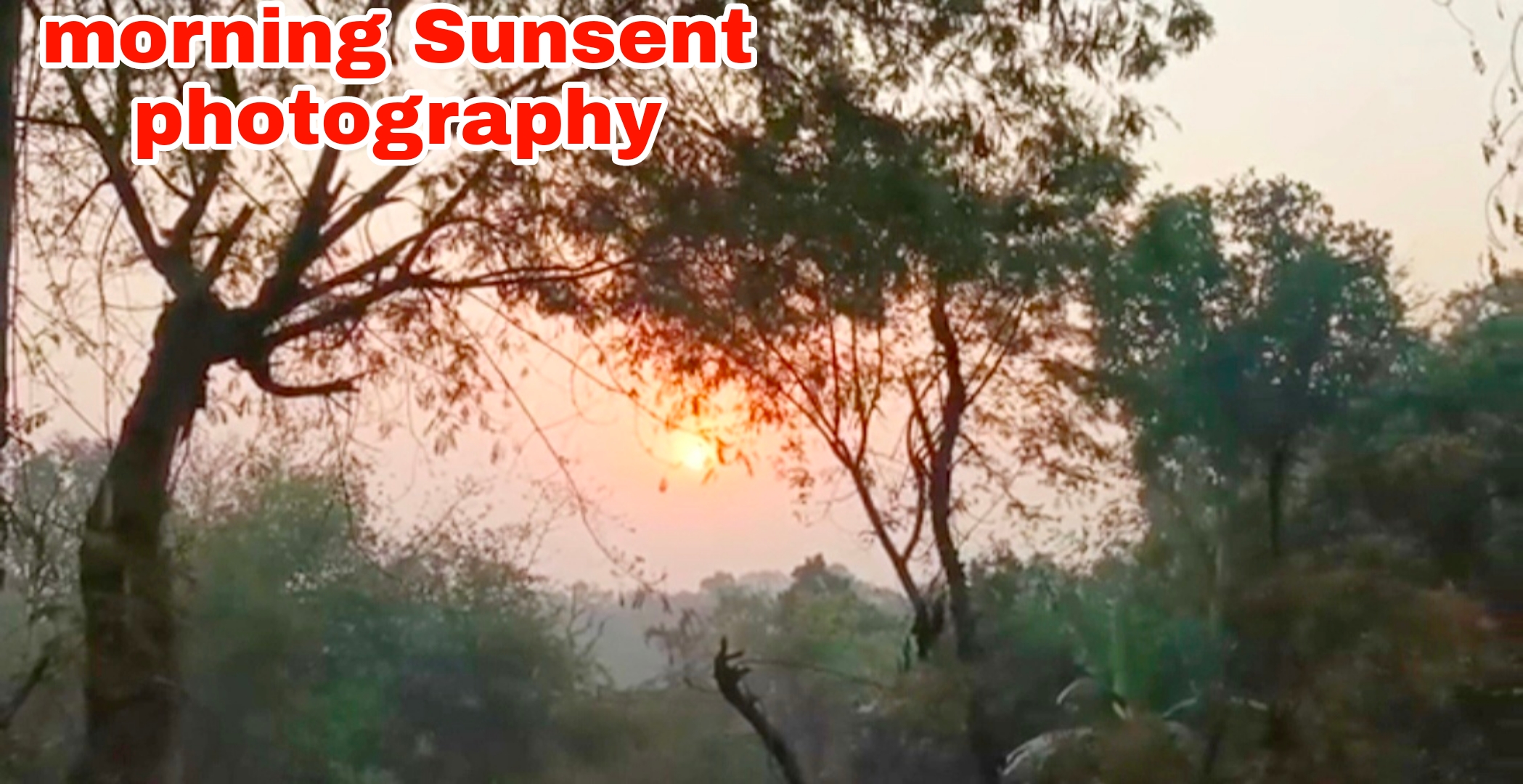 today-morning-sunset-photography-blurt