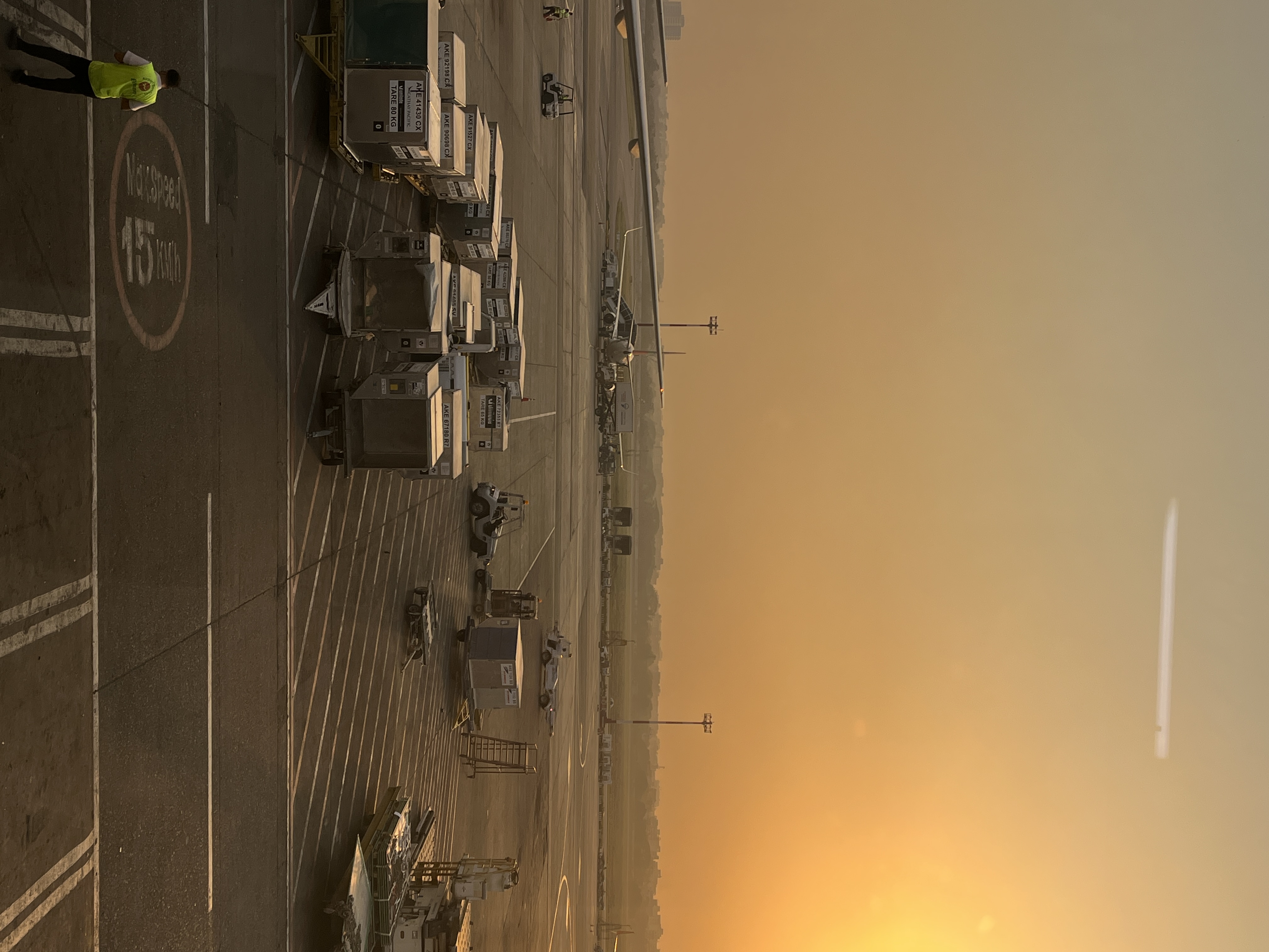 IMG_9143.jpeg