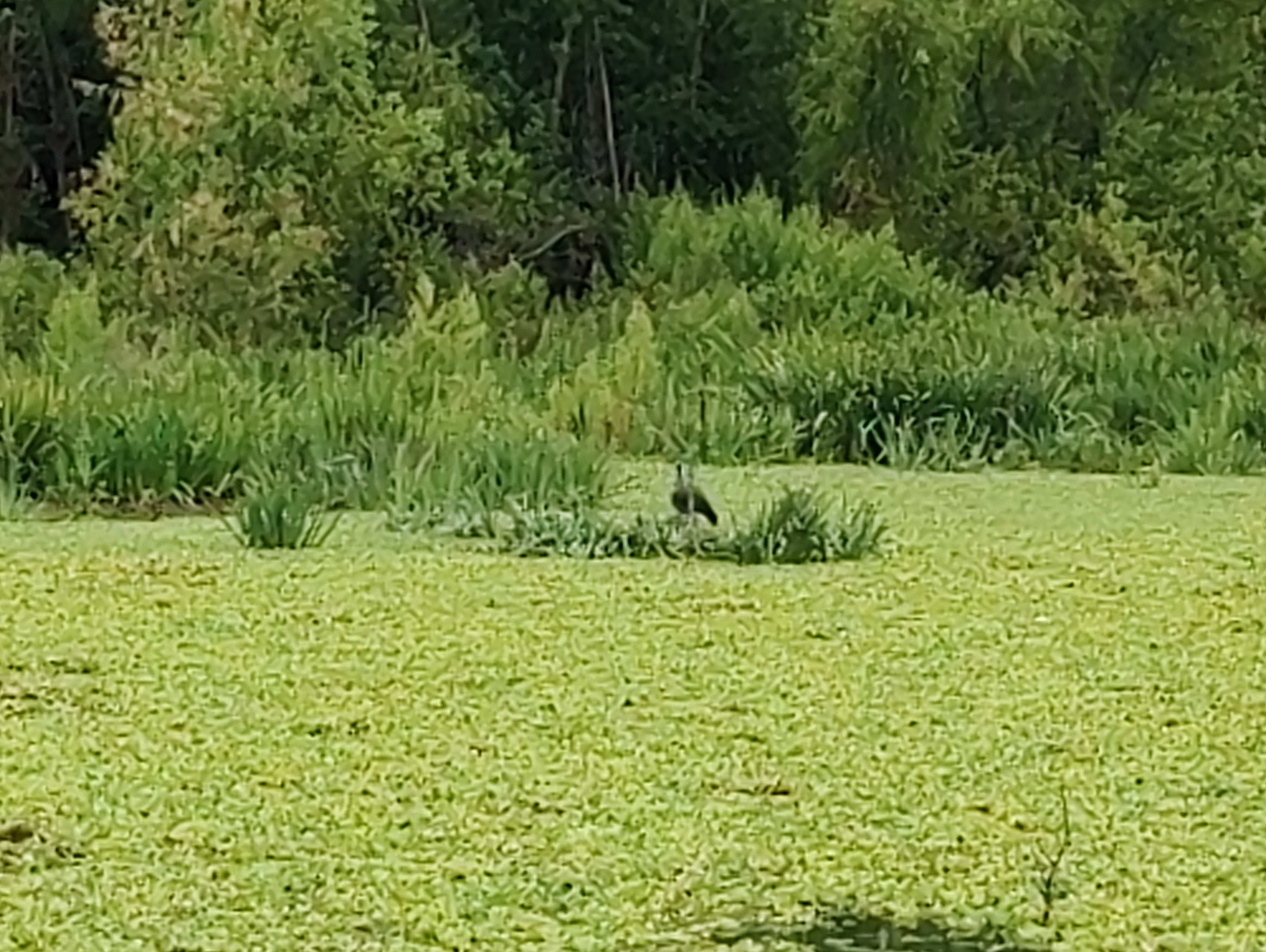 IMG_20230101_101305.jpg