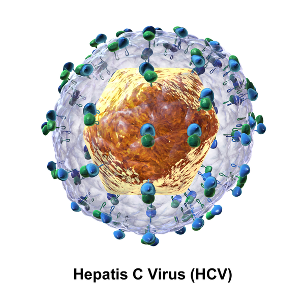 health-series-hepatitis-b-virus-hbv-blurt